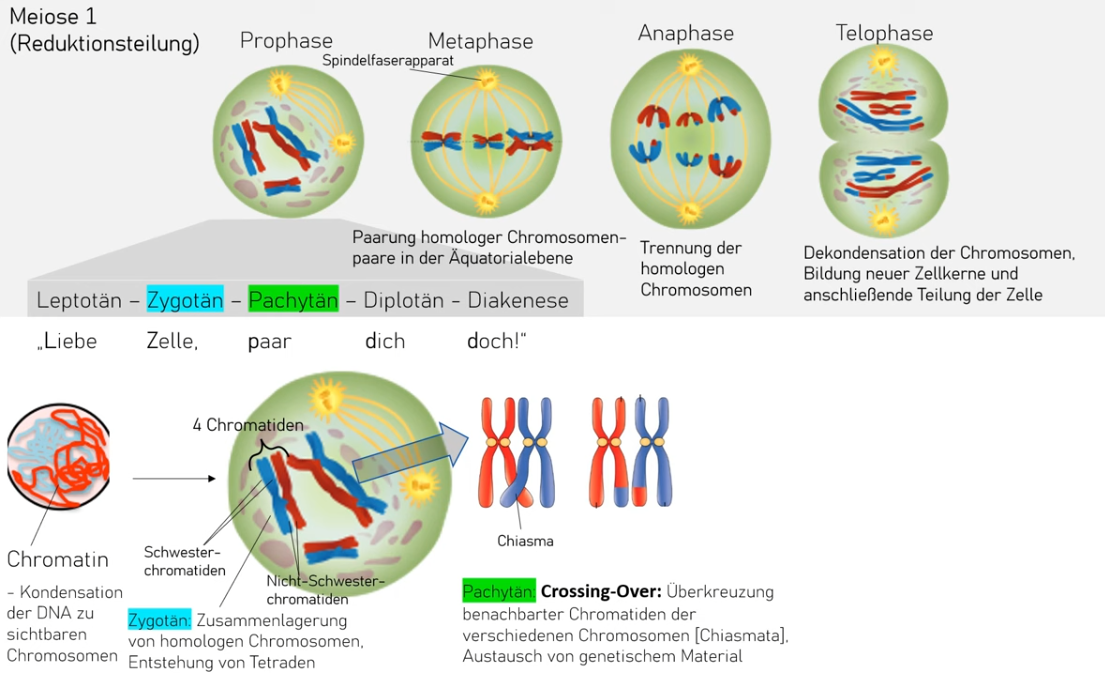 Pasted image 20240117214937.png