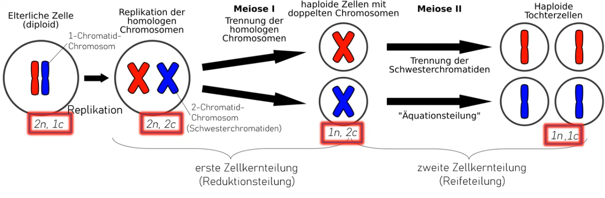 Pasted image 20240117215016.png