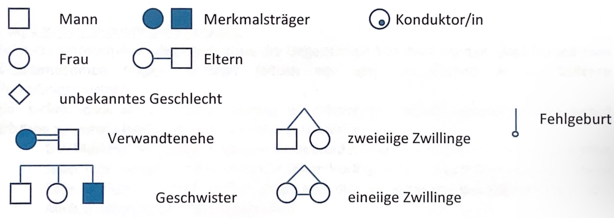 Symbole der Stammbaumgenetik.jpg