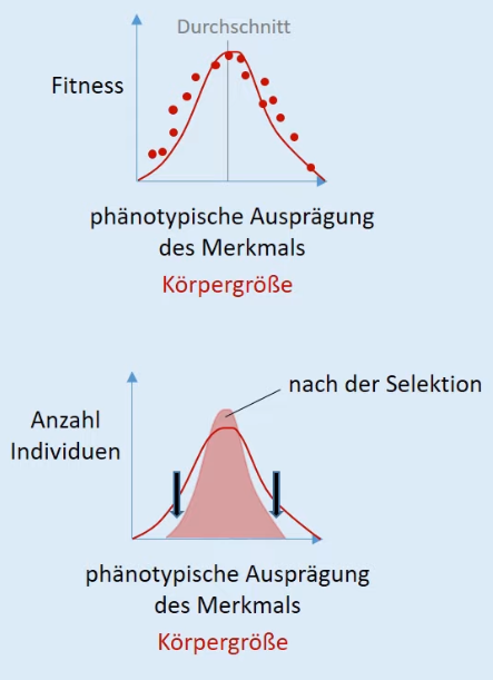 06 Sources/Anhänge Abitur/Anhänge Biologie/Bilder/screenshot 2.png