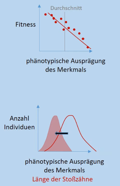 06 Sources/Anhänge Abitur/Anhänge Biologie/Bilder/screenshot 3.png