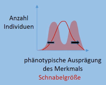 06 Sources/Anhänge Abitur/Anhänge Biologie/Bilder/screenshot 4.png