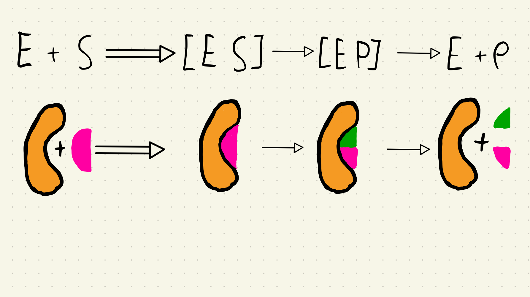 Katalytischer Zyklus.png